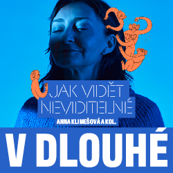 Divadlo v Dlouhé Divadlo v Dlouhé